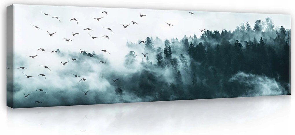 Vászonkép 145x45 Köd erdő fák madarak nyugalom misztika természet csend