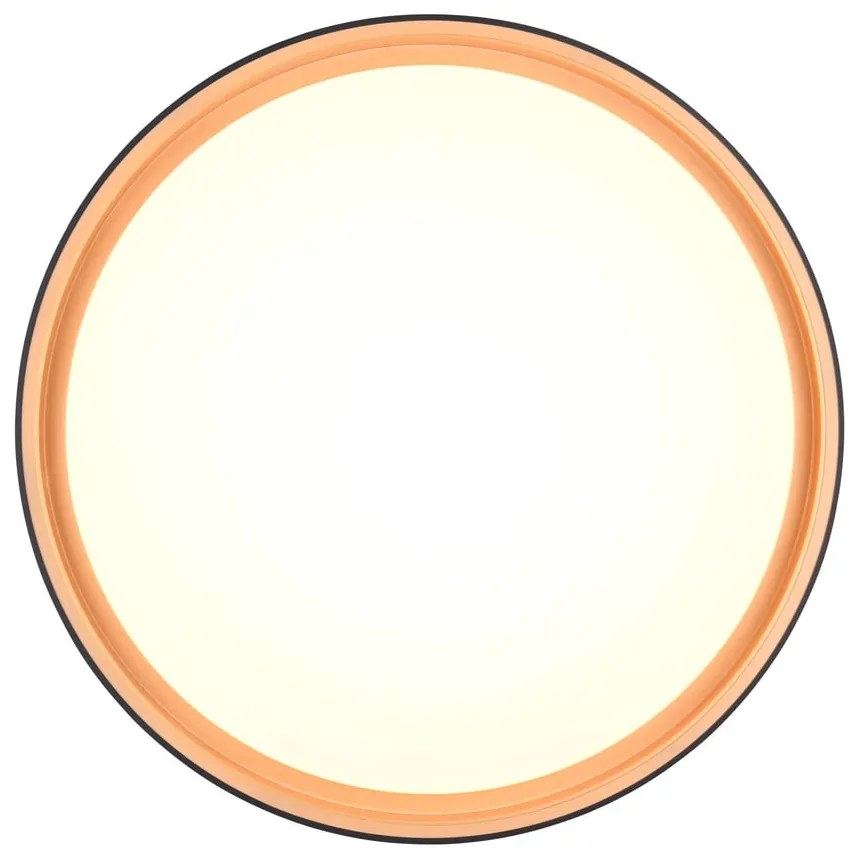 Fekete LED mennyezeti lámpa ø 40 cm Felis – Reality