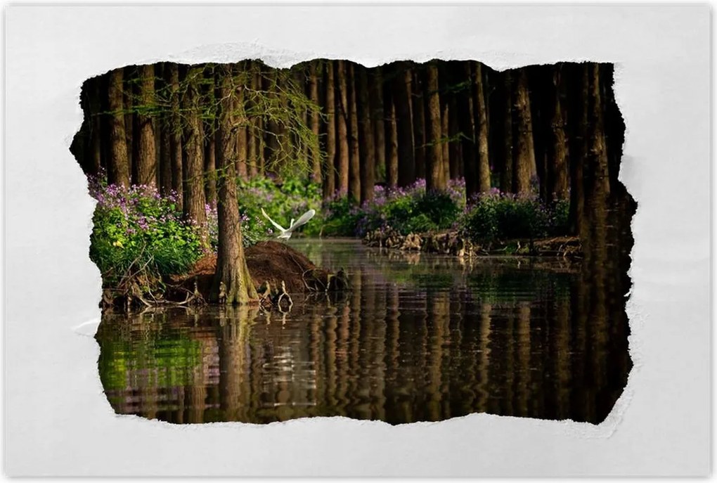 Poszterek 90x60 Tájkép Látvány