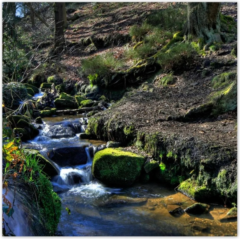 Poszterek 100x100 Hegyi patak