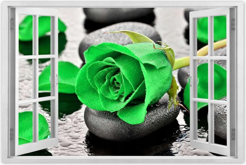 Plakátok 120x80 Green rose Stones
