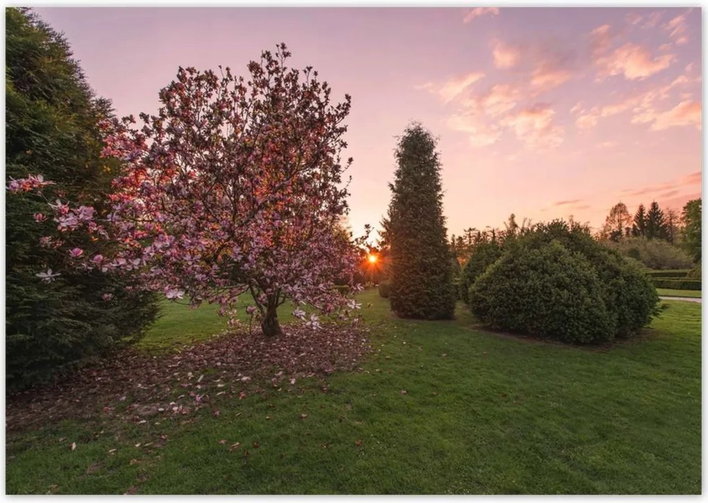 Poszterek 100x70 Kilátás Tájkép