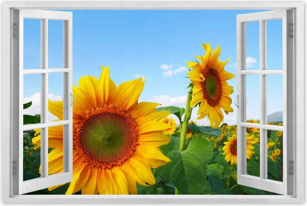 Poszterek 120x80 Napraforgók Égbolt