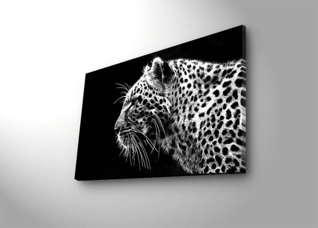 Vászonkép, 45×70 cm – 4570DACT-44