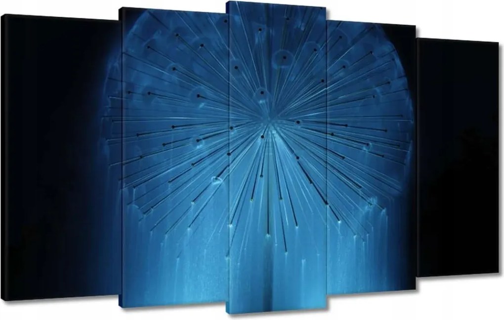 Vászonkép 100x60 Pitypang Virág Virágok