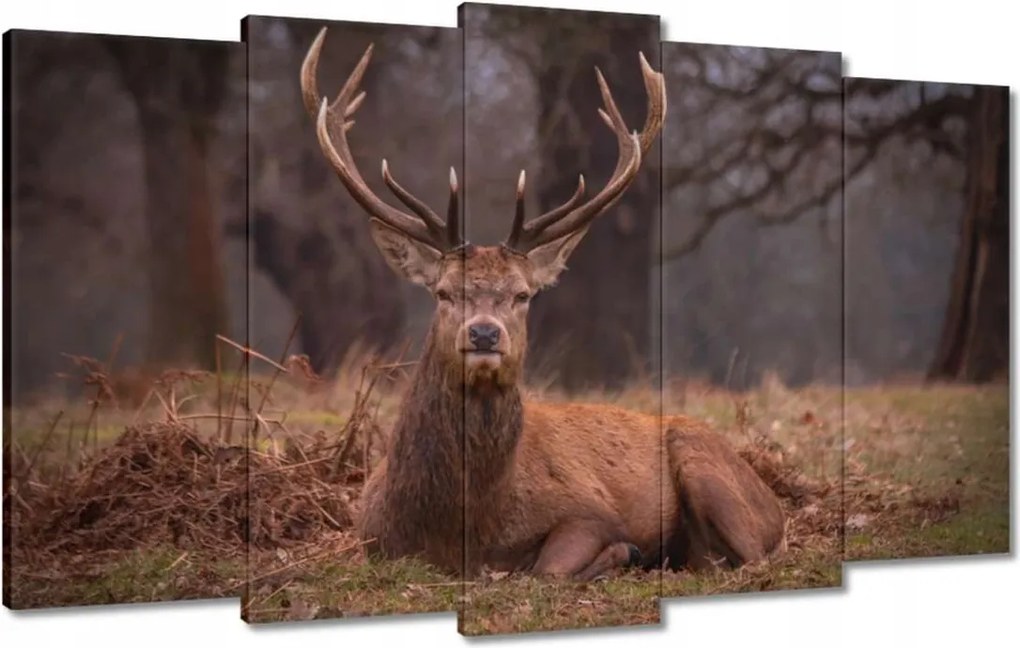 Vászonkép 100x60 Szarvas felszarvazott