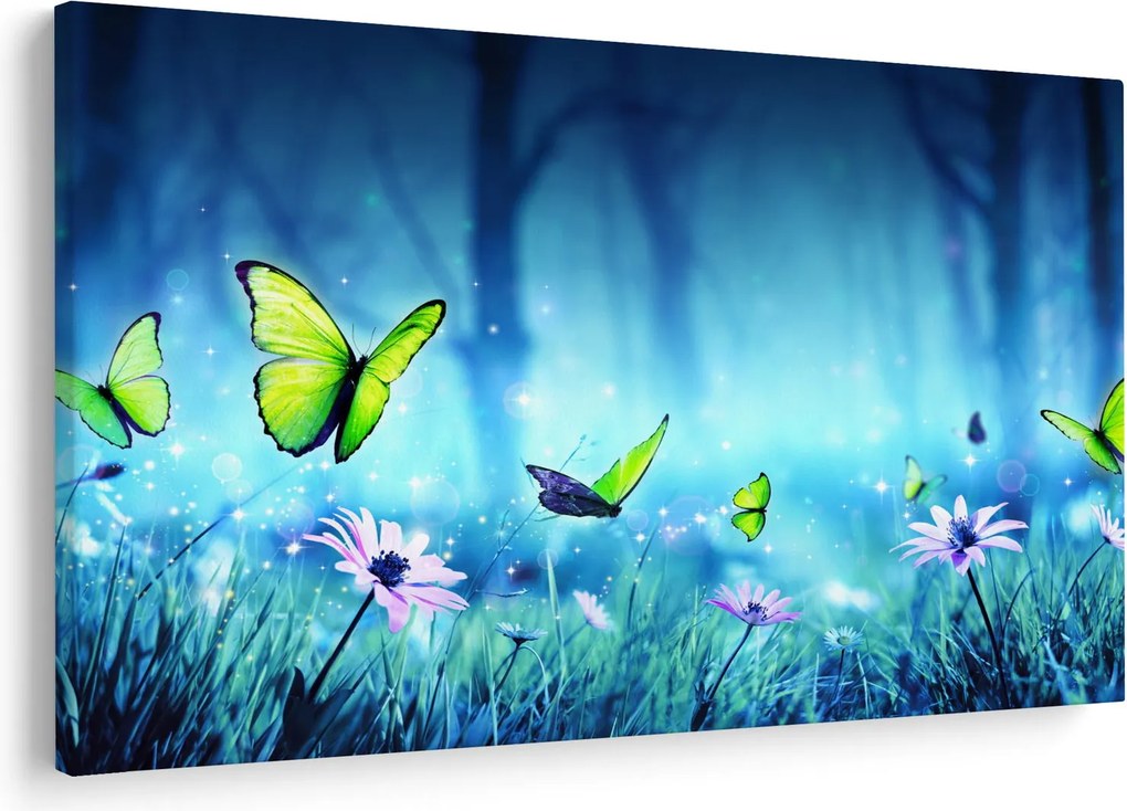 Kép - Misztikus erdei tisztás (90x60 cm)