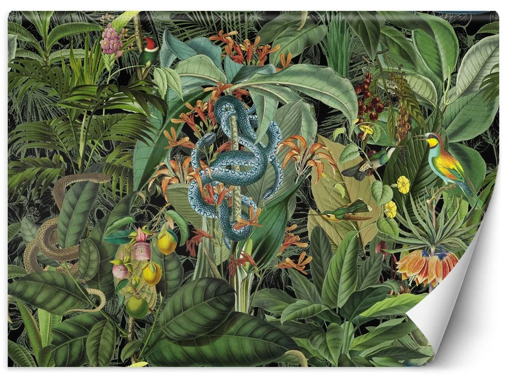 Gario Fotótapéta Kígyó és a sötét trópusok - Andrea Haase Anyag: Vlies, Méret: 100 x 70 cm