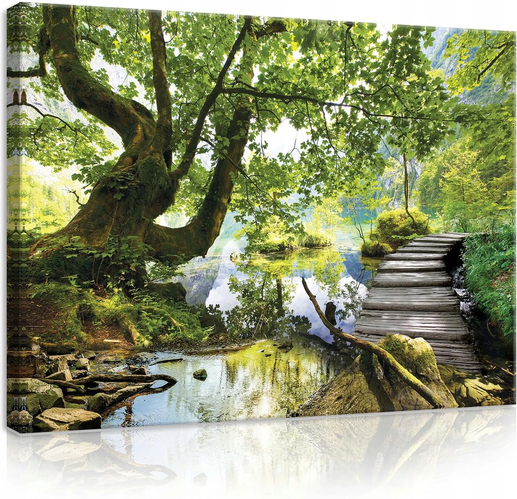 Vászonkép 70x50 Erdő tó tükröződés nyugalom csend természet zöld kék