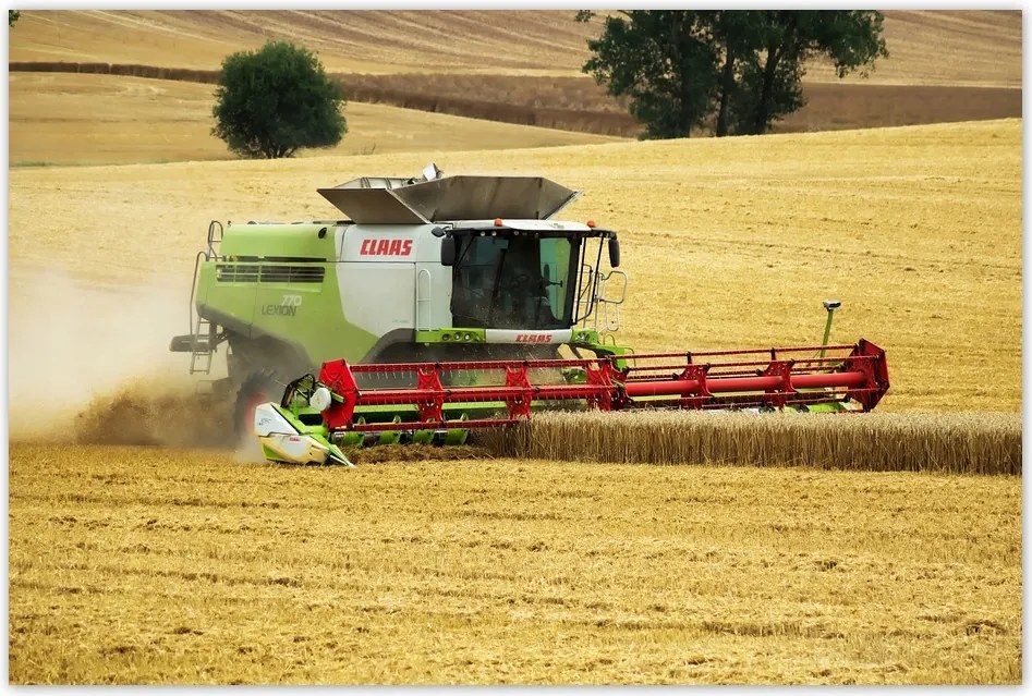 Poszterek 90x60 Kombájn Aratás