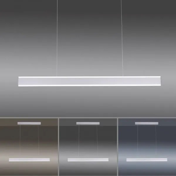 Paul Neuhaus 8363-55 - LED Dimmelhető csillér érzékelővel ARINA LED/20W/230V