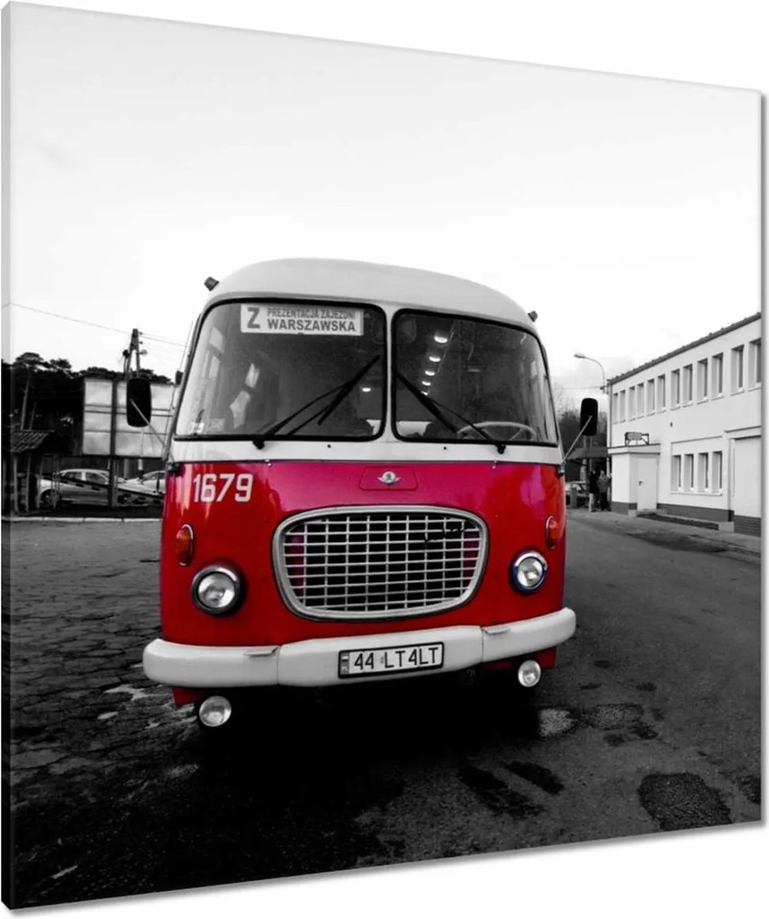 Vászonkép 80x80 Vörös szarvas uborka