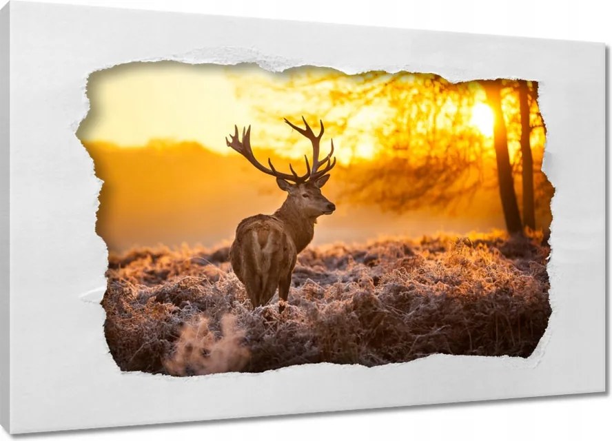 Vászonkép 60x40 Szarvas naplementekor