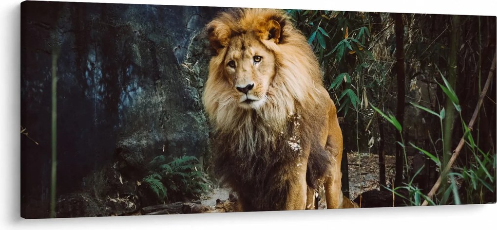 Oroszlán a vadonban (120x50 cm)