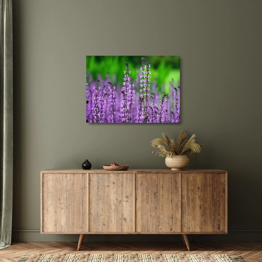 Lila mezei virágok képe (üvegen) (70x50 cm)