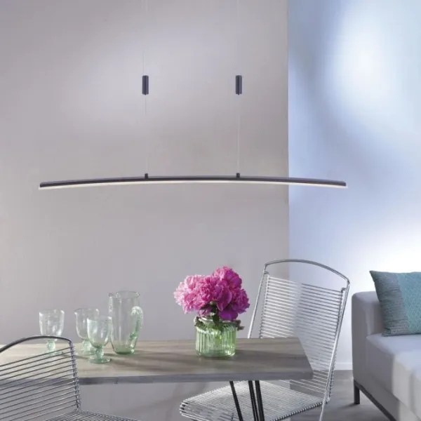 Paul Neuhaus 2530-13 - LED Dimmelhető csillár zsinóron JANINA LED/27W/230V