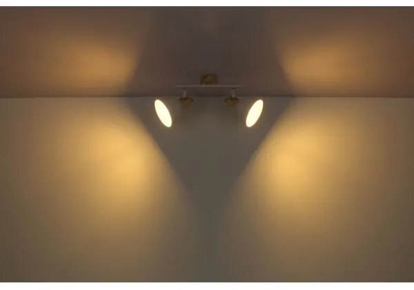 Globo 54018-2 - Spotlámpa WIHO 2xE27/40W/230V