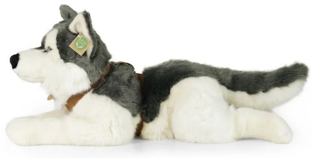 Rappa Plüss husky hámmal 60 cm ECO - FRIENDLY