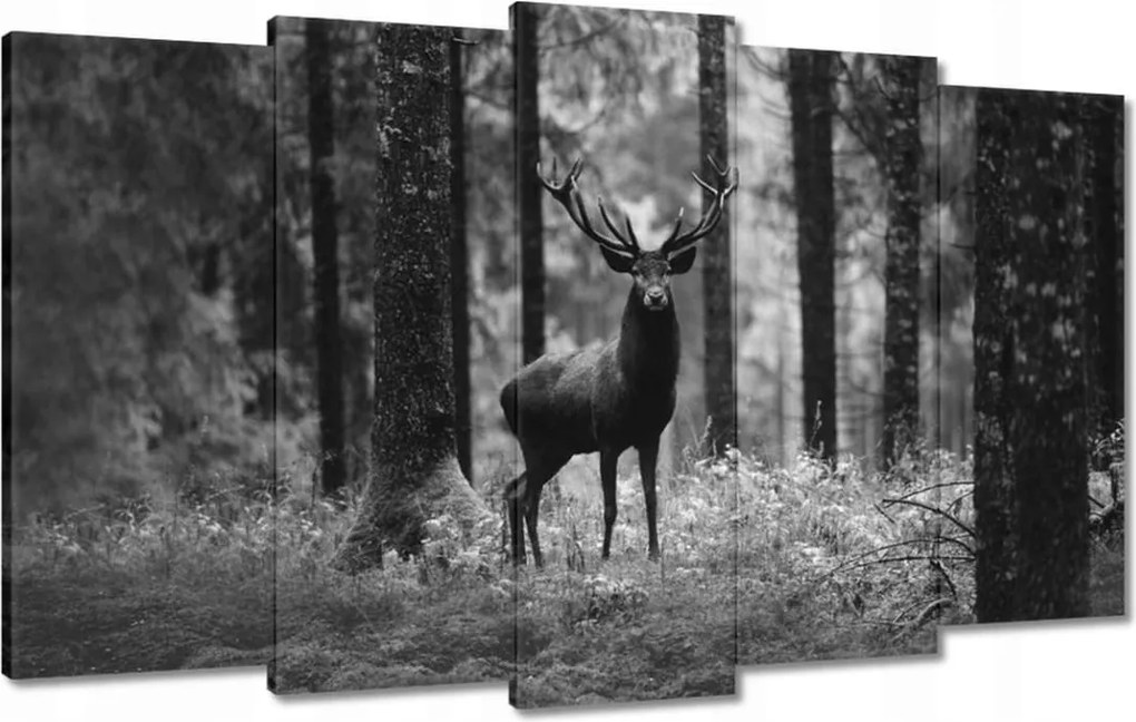 Vászonkép 100x60 Szarvas az erdőben B&amp;w