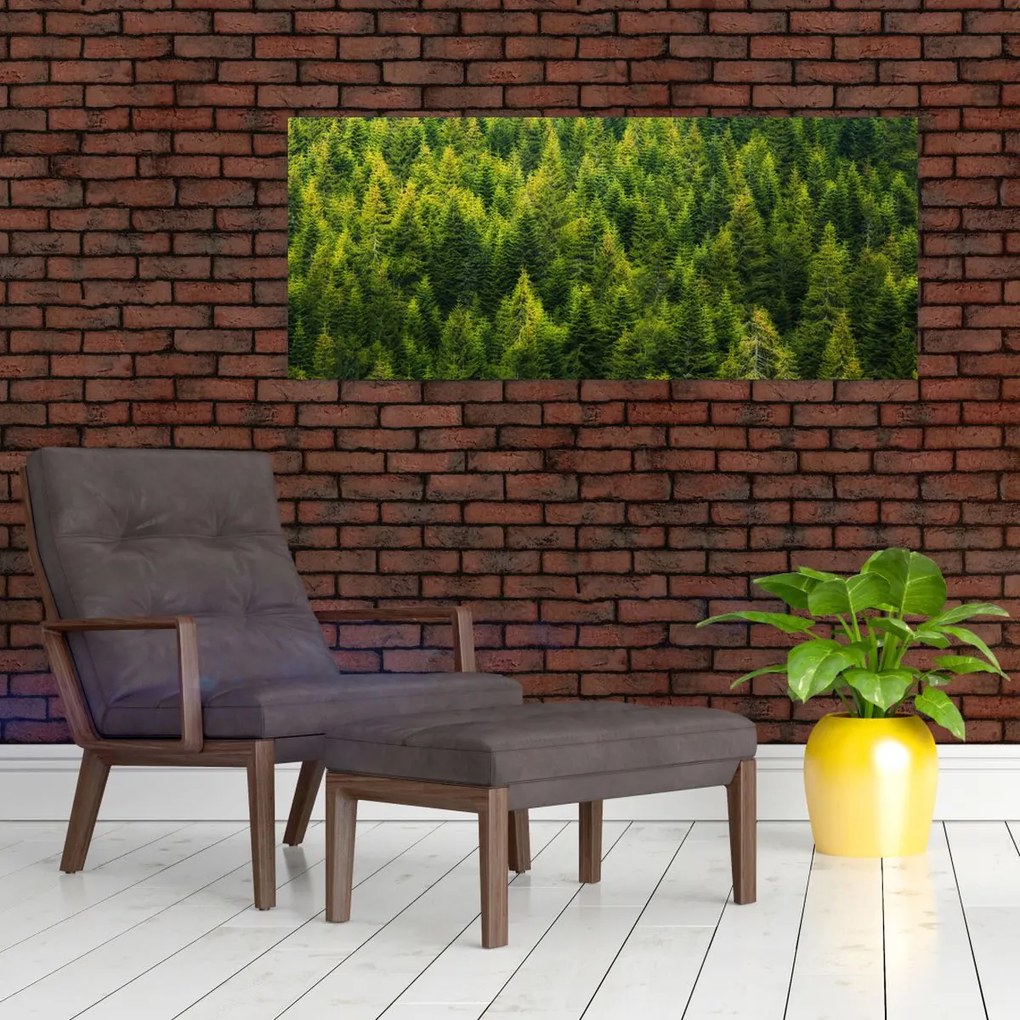 Kép - sűrű erdő (120x50 cm)