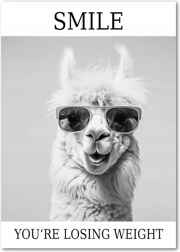 Lavema Dekoratív kép poszter keret nélkül vicces fali fekete-fehér