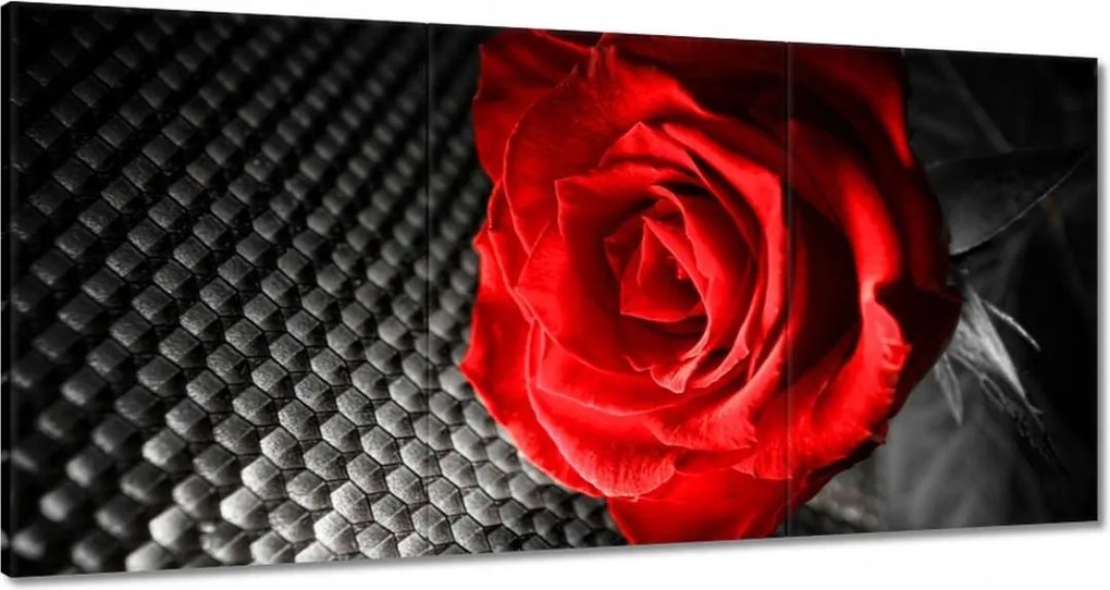 Vászonkép 180x90 Piros a szürkeség között