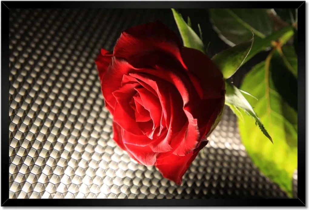 Poszter keretben 60x40 Ízléses rózsa ajándékba