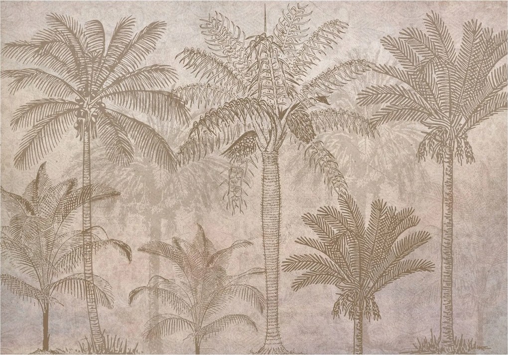 Fotótapéta Pálmafák Vintage Trópusi Paradicsom Botanika Relaxáció 200x140 +ragasztó