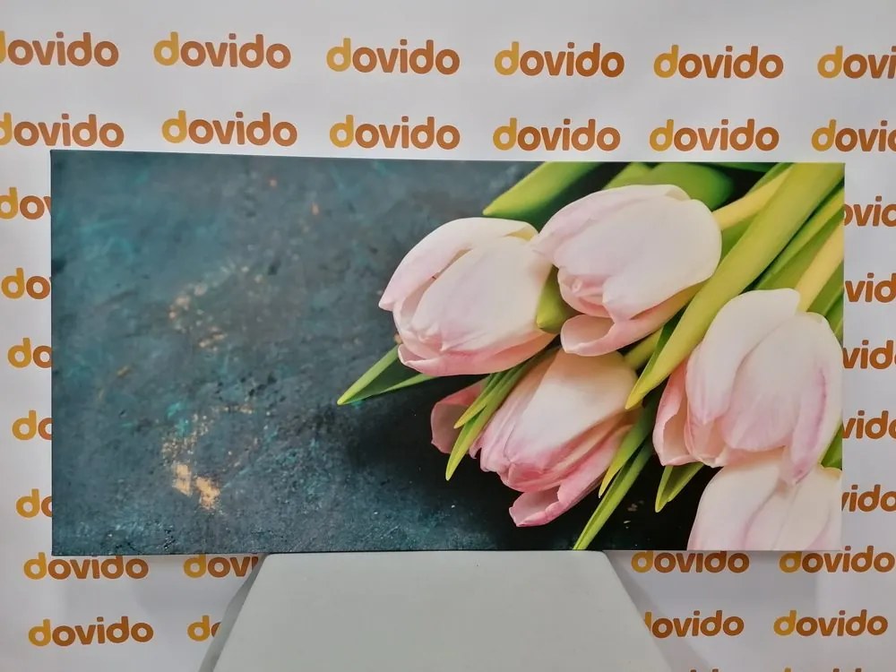 Kép pasztell rózsaszín tulipánok