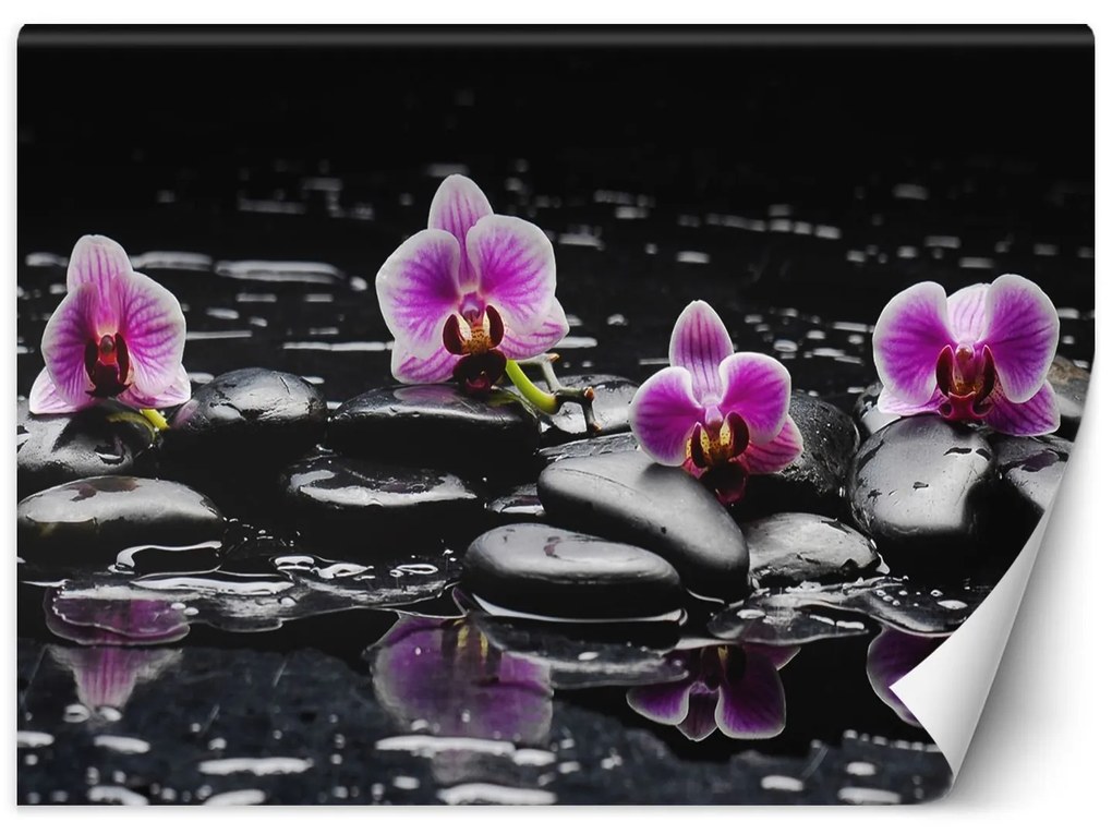 Gario Fotótapéta Zen kövek és orchideák Anyag: Vlies, Méret: 250 x 175 cm