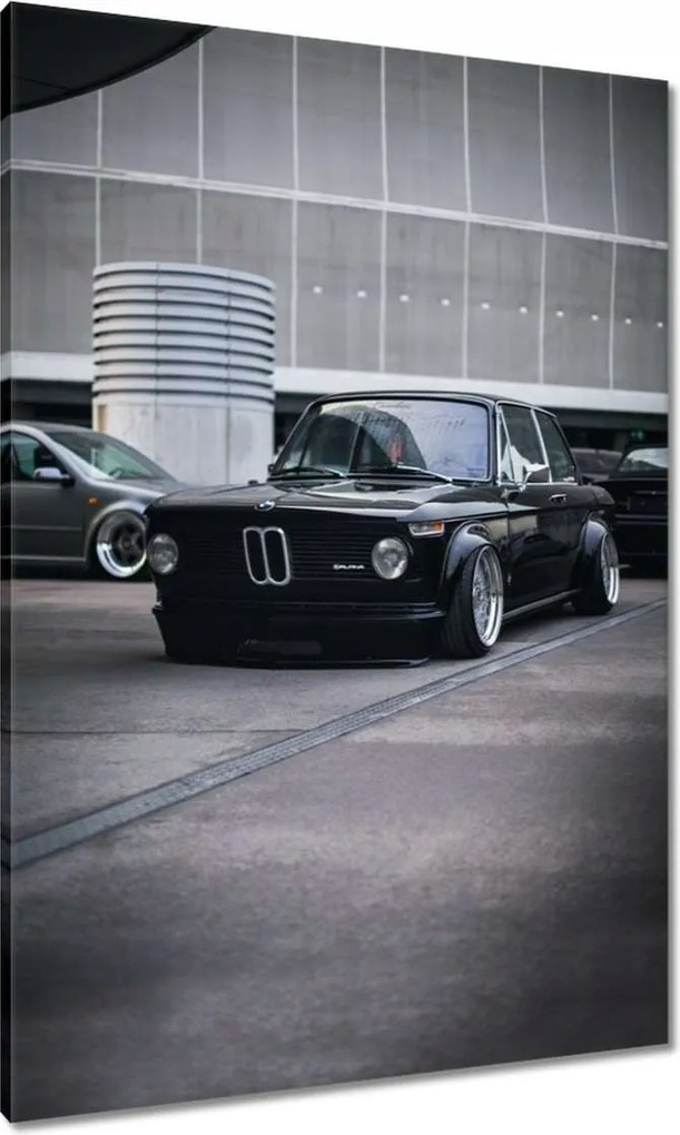 Vászonkép 70x100 Bmw Alpina Cápa Shark