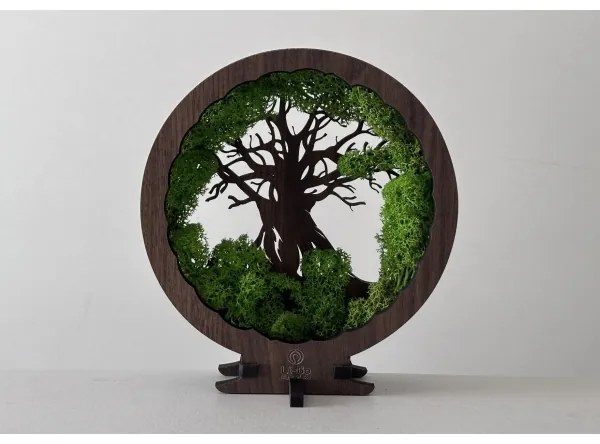 Li-Go 23604/DUB2 - Fényerőszabályozható LED asztali dekoráció LED/12W/230V 20x22 cm tölgy