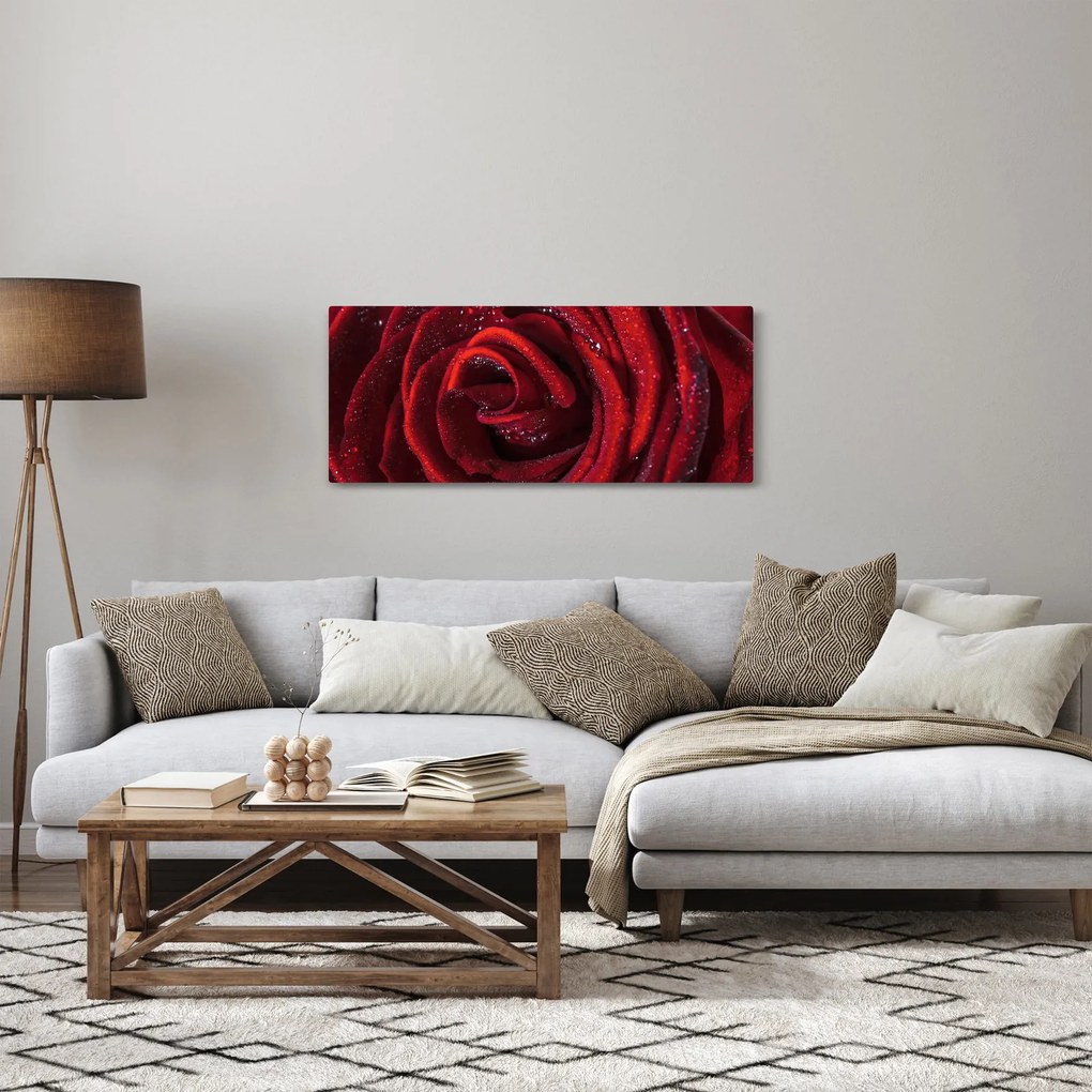 Kép - Vörös rózsa harmatcseppekkel (120x50 cm)