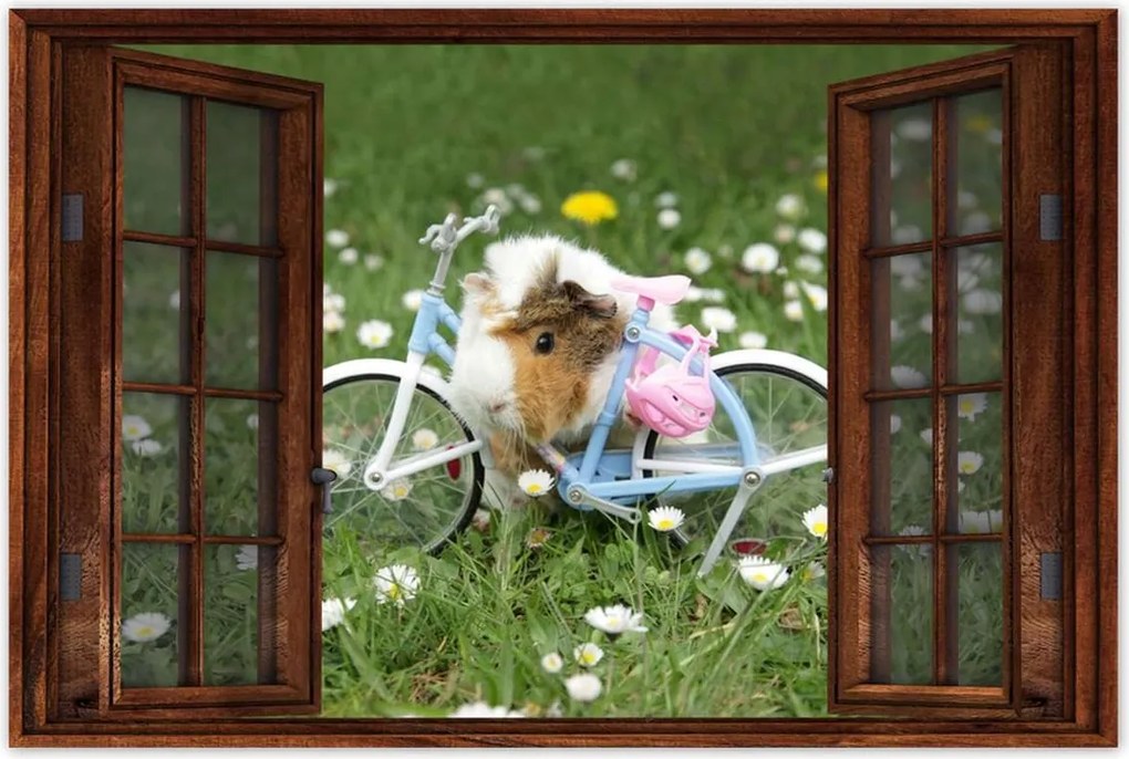 Poszterek 90x60 Tengerimalac a réten