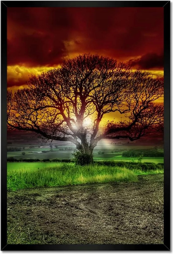 Poszterek keretben 40x60 Varázslatos fa tájkép