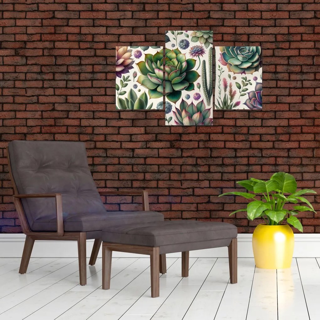 Kép - Pozsgás növények (90x60 cm)