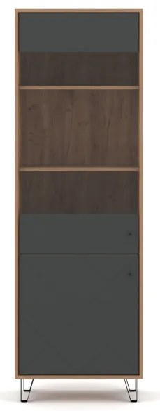 Vitrinszekrény 2 ajtóval, Craft Tobacco/grafit színkombinációban BILBAO BL14