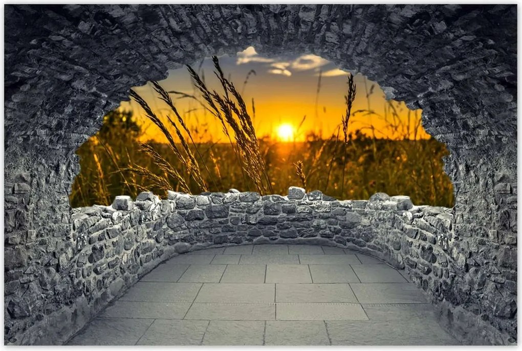 Poszterek 60x40 Naplemente a füvek között