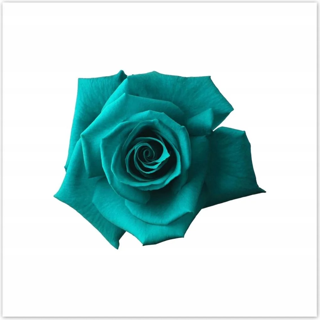 Poszterek 100x100 Nőnap Ajándék Love