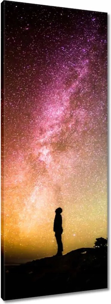 Vászonkép 40x100 Tejút Galaxis