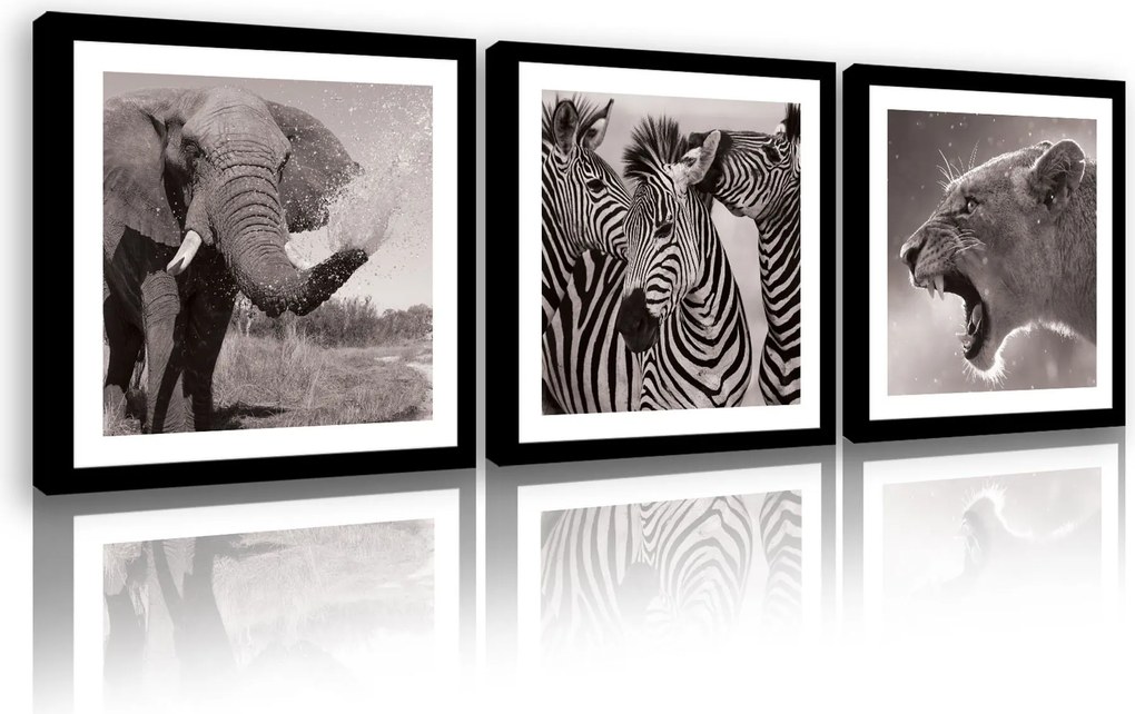 Vászonkép 75x25 Afrika vad természet állatok elefánt zebra oroszlán szafari