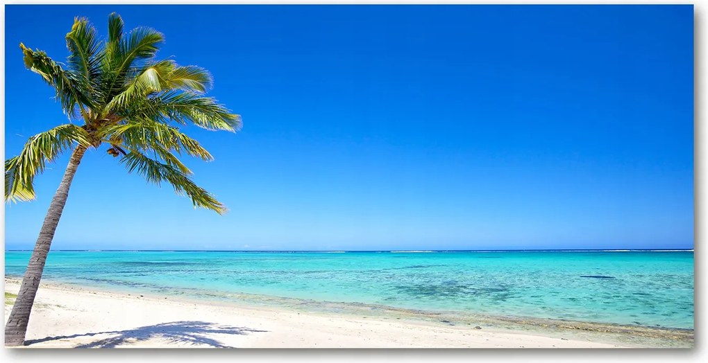 Fotó üvegkép Trópusi tengerpart 140x70