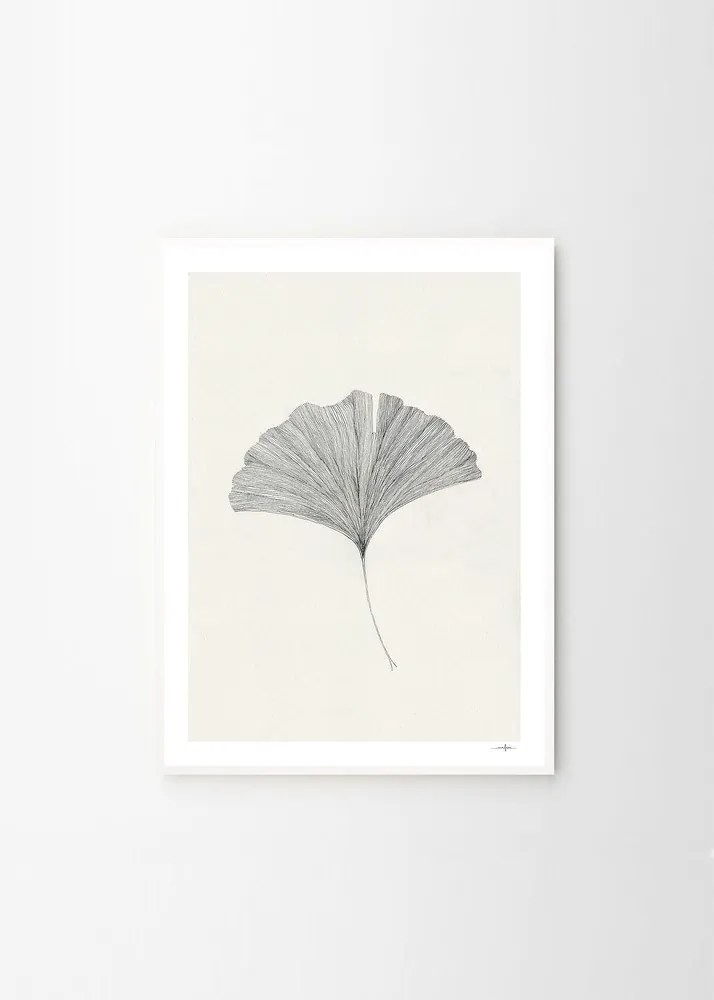 Poszter 50x70 cm Ginkgo Leaf – Ana Frois – The Poster Club