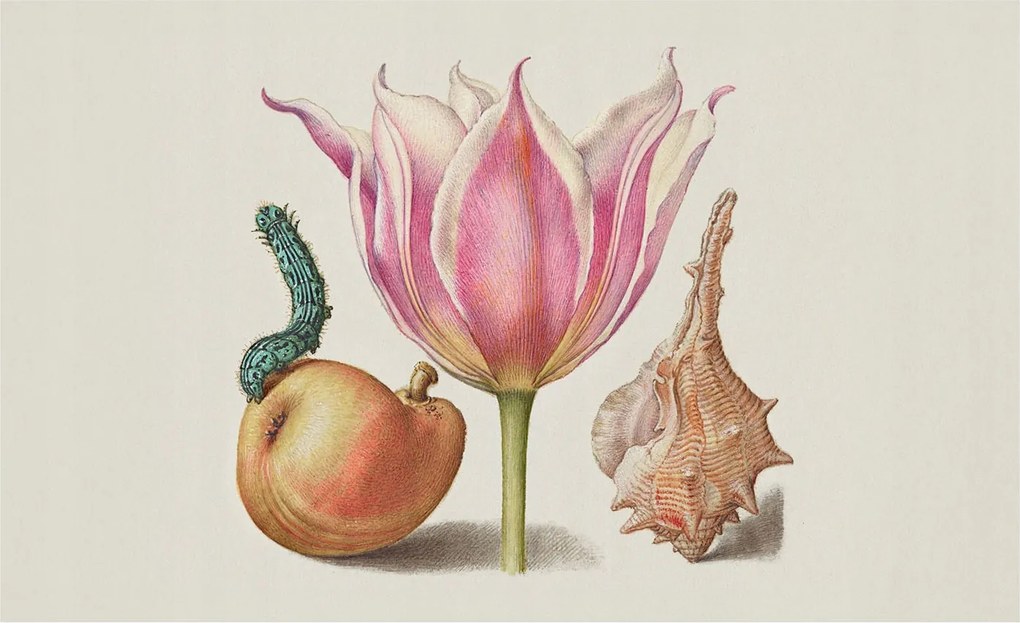 Tapéta Flizelin Falfestmény Prémium Természetes szimbiózis 416x254 Ragasztó