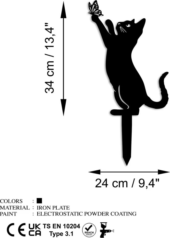 Cat 01
