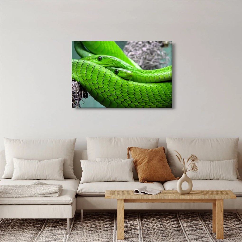 Zöld kígyók képe (90x60 cm)
