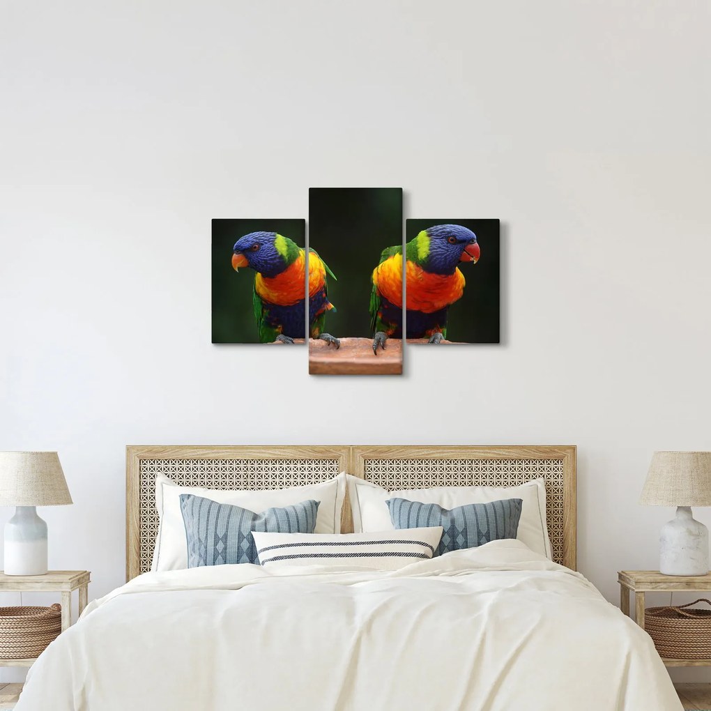 Papagájok képe (90x60 cm)
