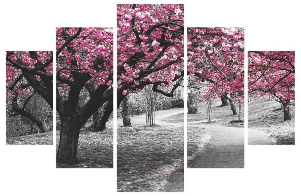 Kelsi ötrészes kép