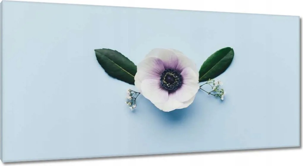 Vászonkép 115x55 Pipacsvirág