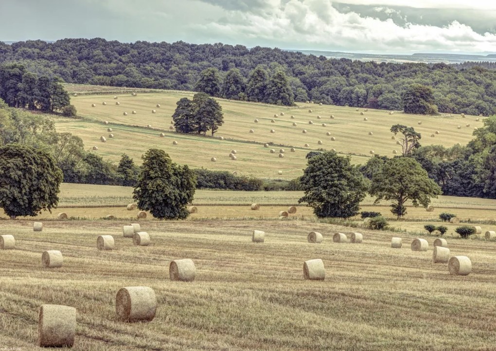 Poszter 42x29,7cm Szénakazalok a mezőkön 2, Assaf Frank